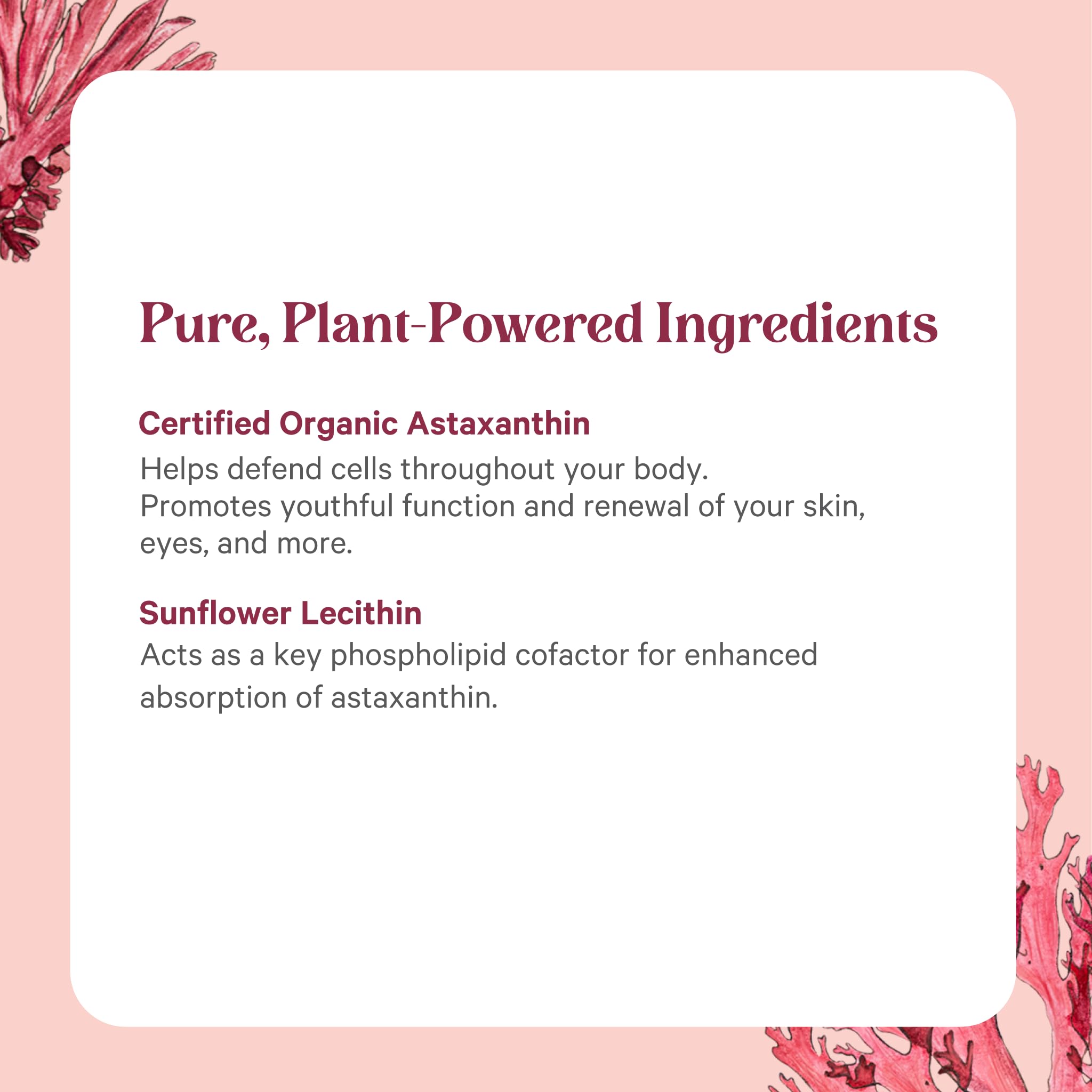 Sealed glass packaging shown to protect purity of Pure Synergy supplement.