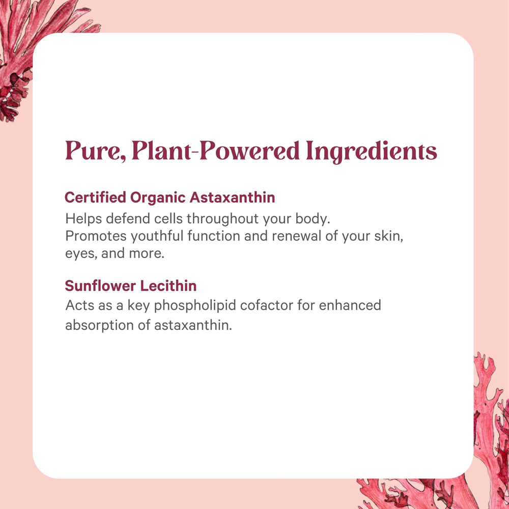 Sealed glass packaging shown to protect purity of Pure Synergy supplement.