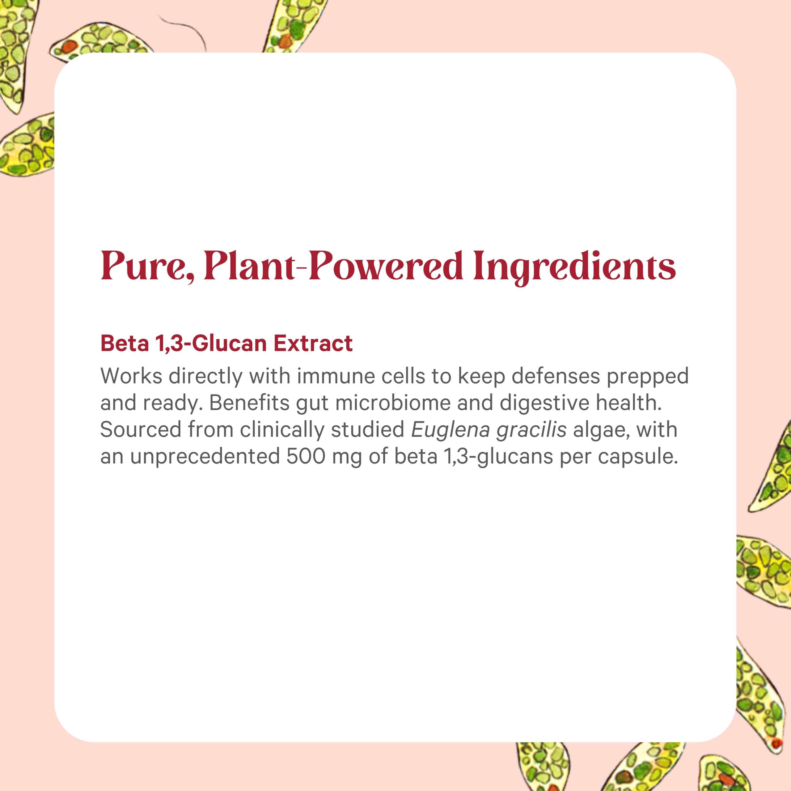 Pure Synergy SuperPure bottle on desk bathed in natural light for everyday use.