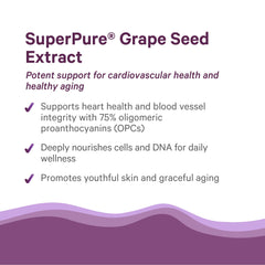 Pure Synergy SuperPure bottle pouring capsules into a spoon for convenience