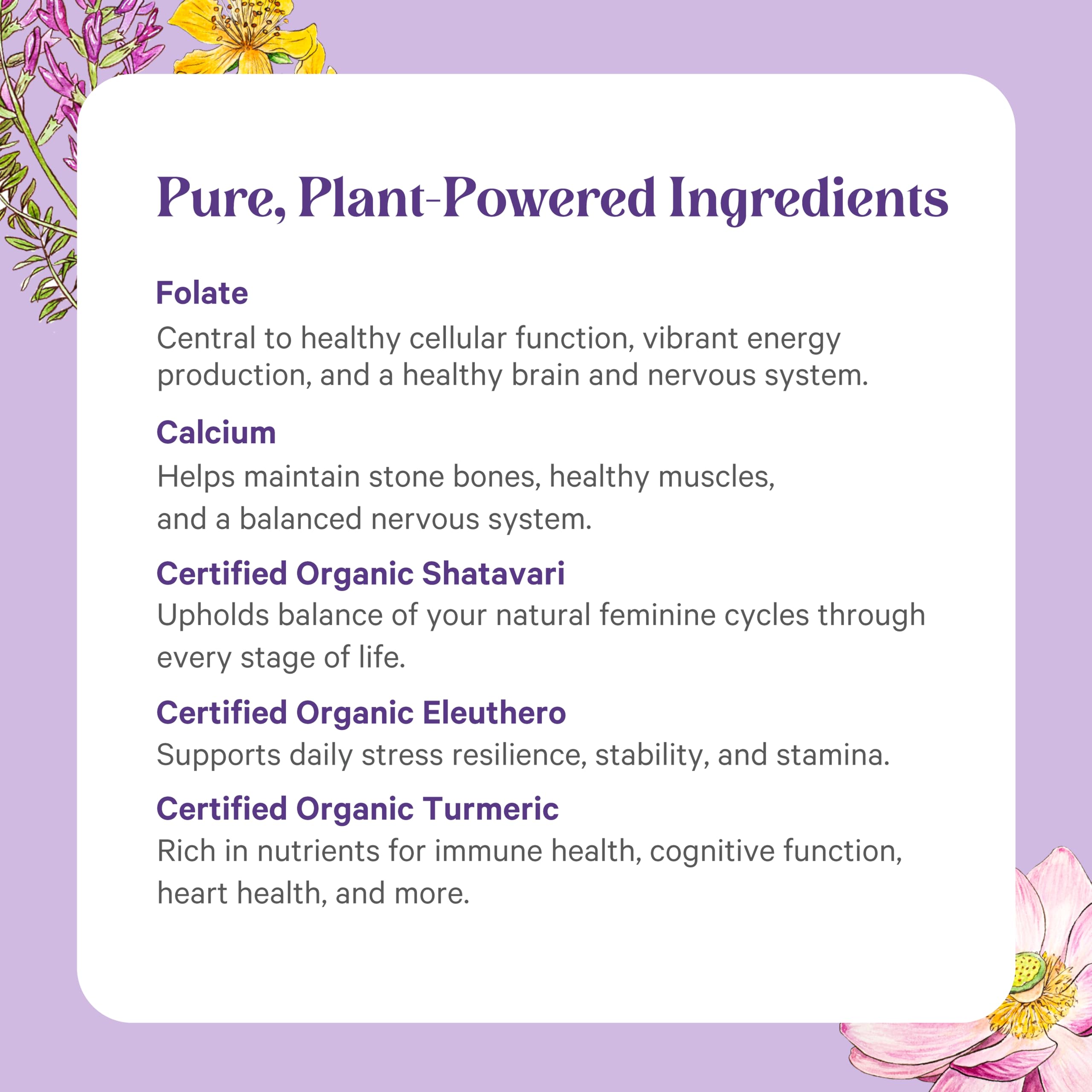 PURE SYNERGY Vita Min Herb bottle held for easy daily on-the-go routine.