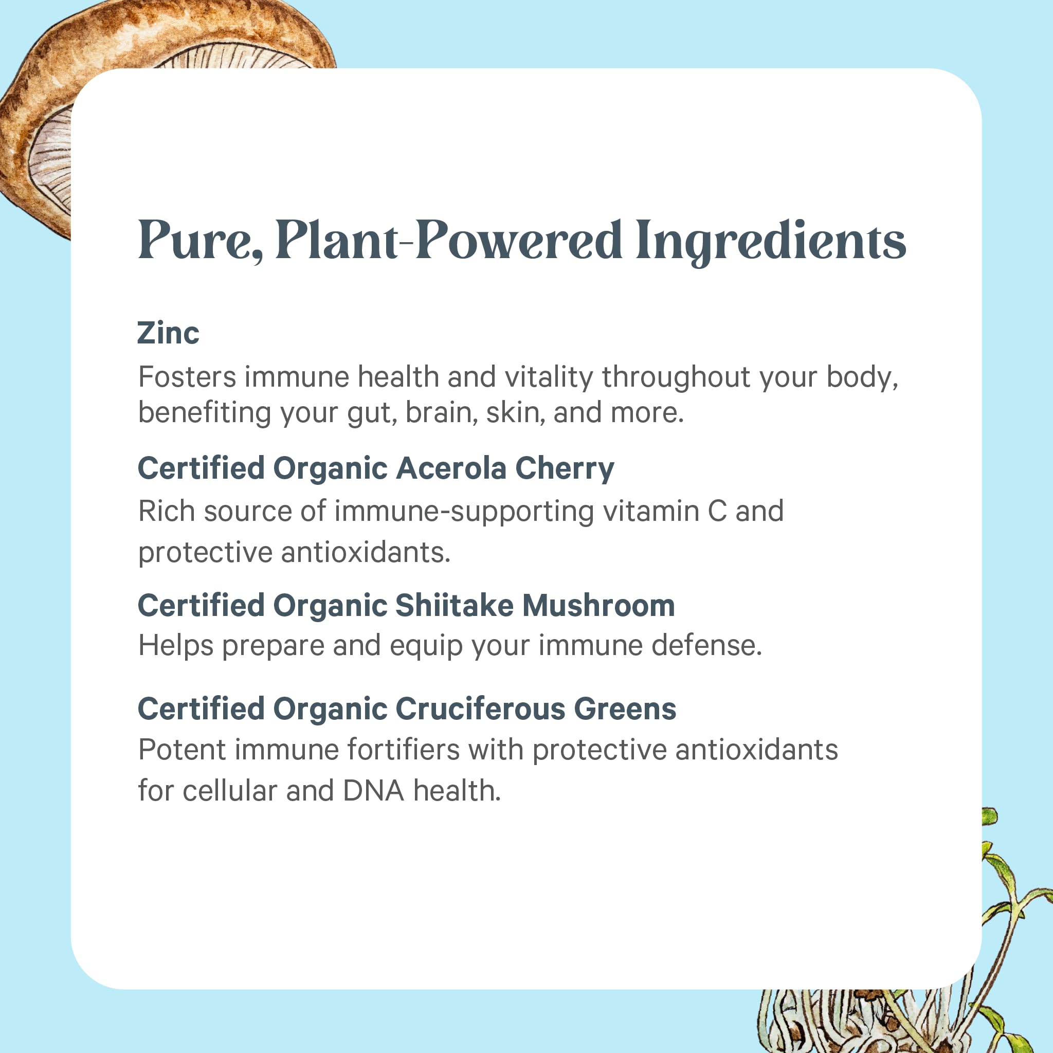 Pure Synergy Zinc Complex USA-made seal visible, trusted quality.
