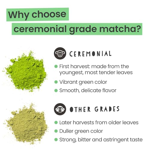 PureChimp smoothie ideas shine with bright color and antioxidant-friendly flavor.