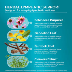 PUREHEALTH RESEARCH Burdock root detail, traditional plant support for balanced fluids.