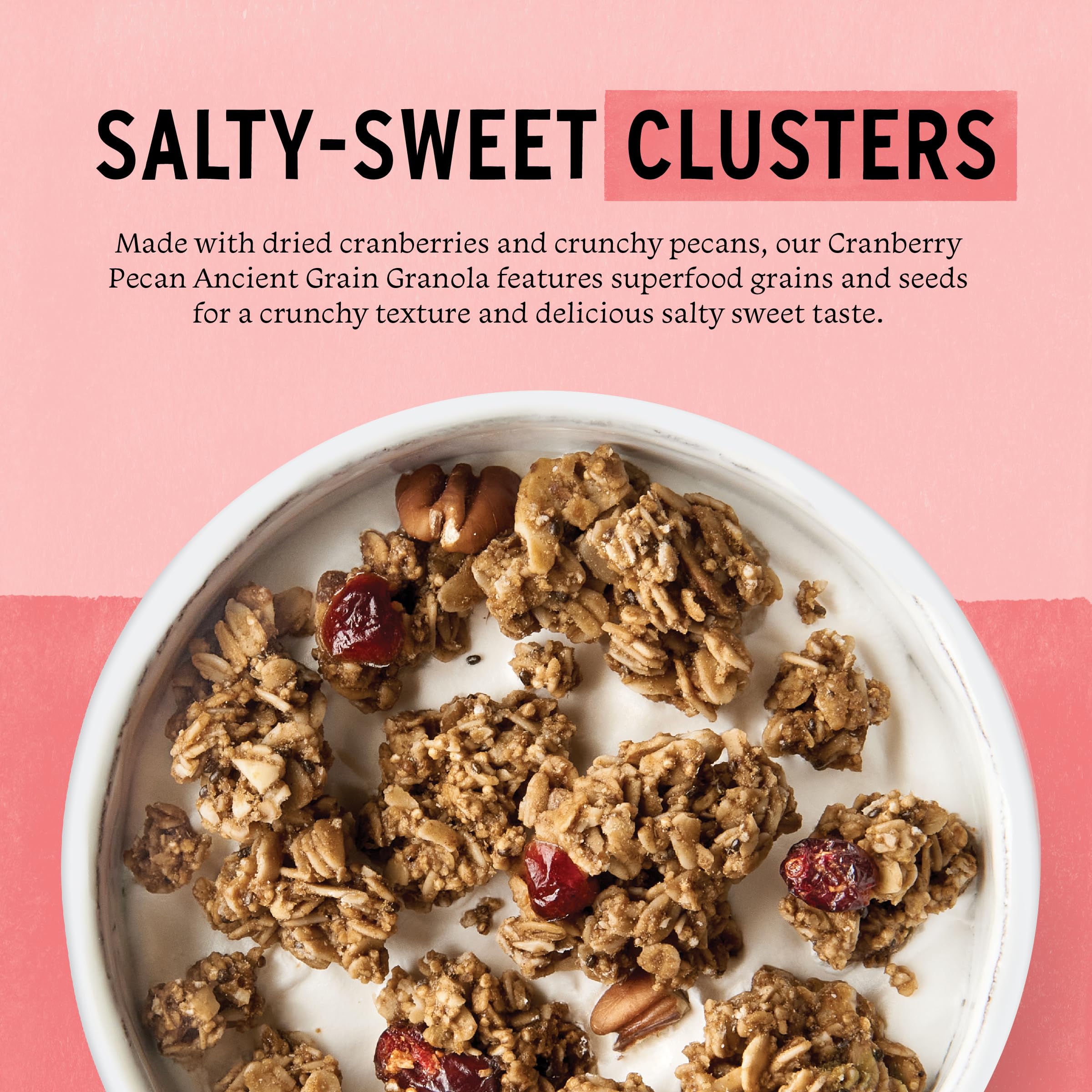 Close-up of toasted oats and cranberries in granola.