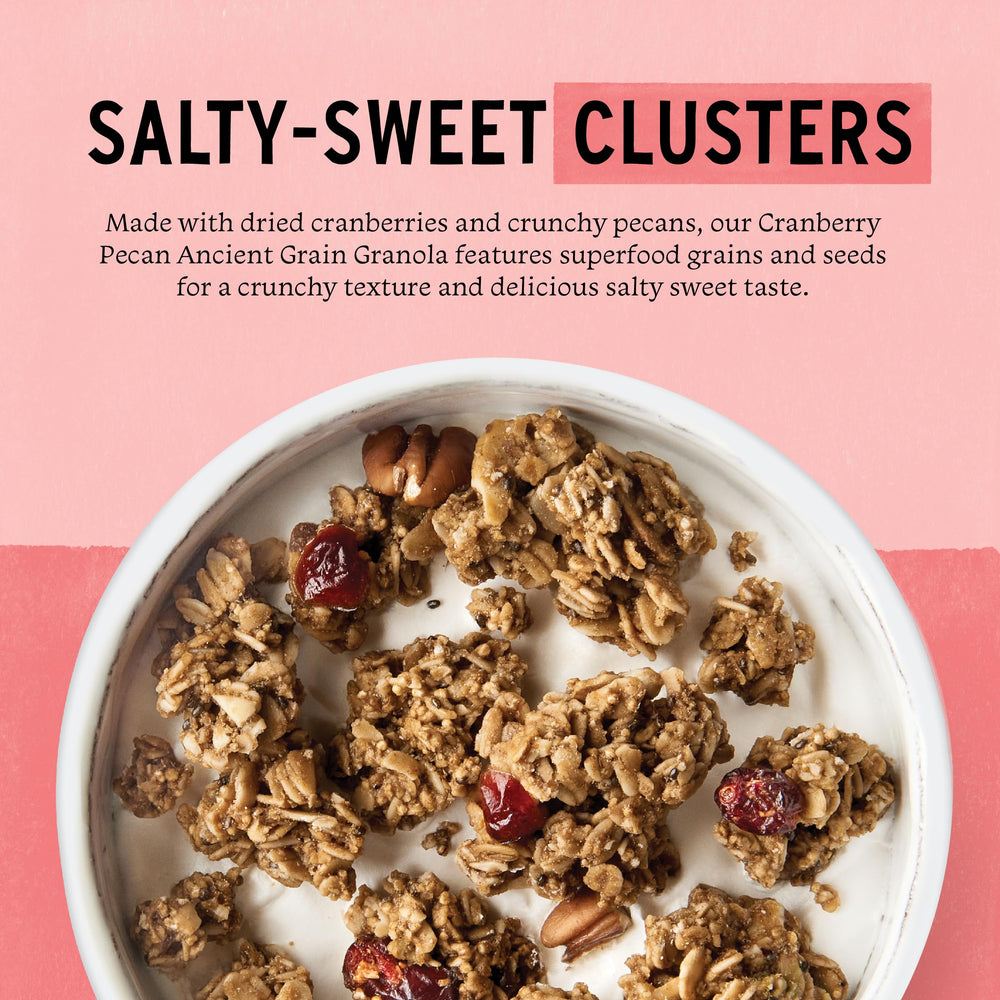 Close-up of toasted oats and cranberries in granola.