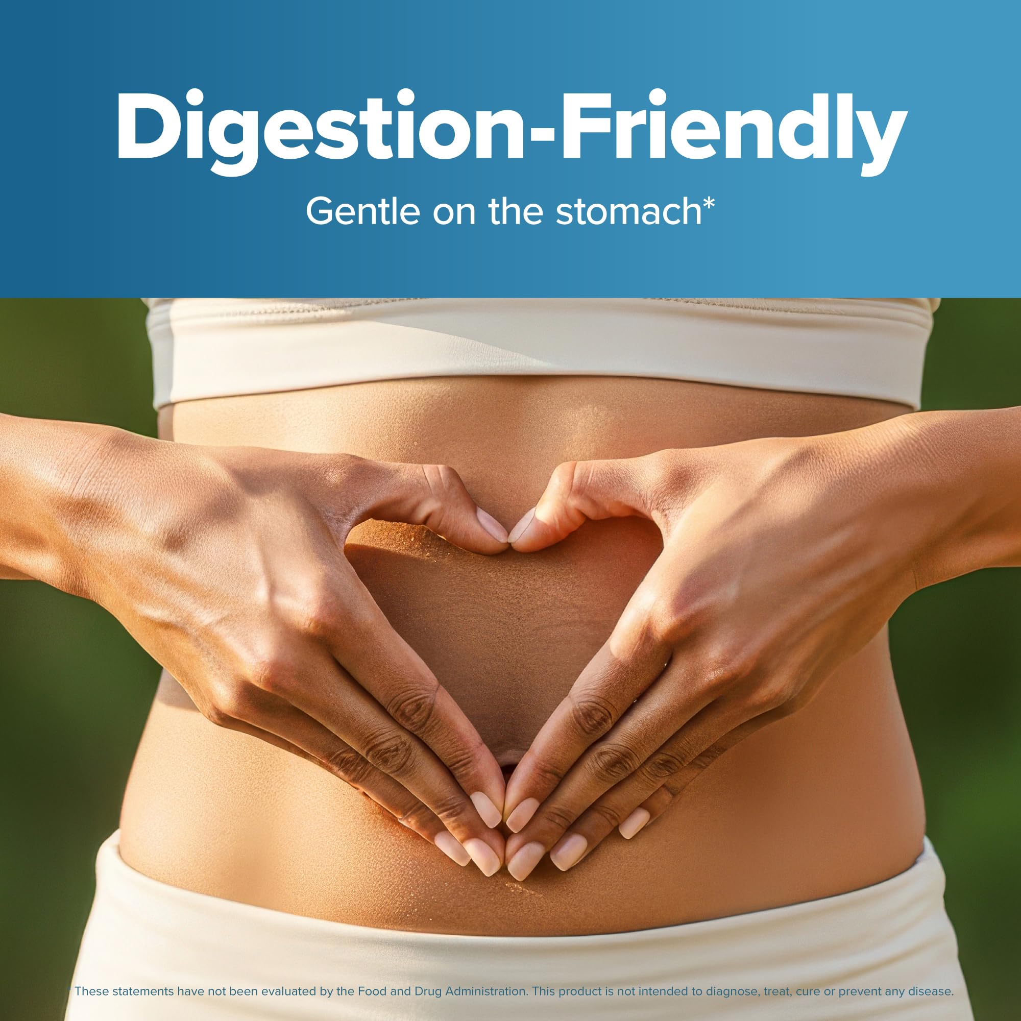 Purely Holistic magnesium glycinate absorption graphic shows fast dissolution within 30 minutes.