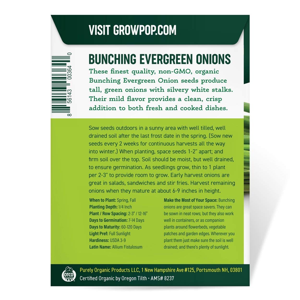 Purely Organic Onion Seeds Bunching Evergreen in a container garden setup for small spaces
