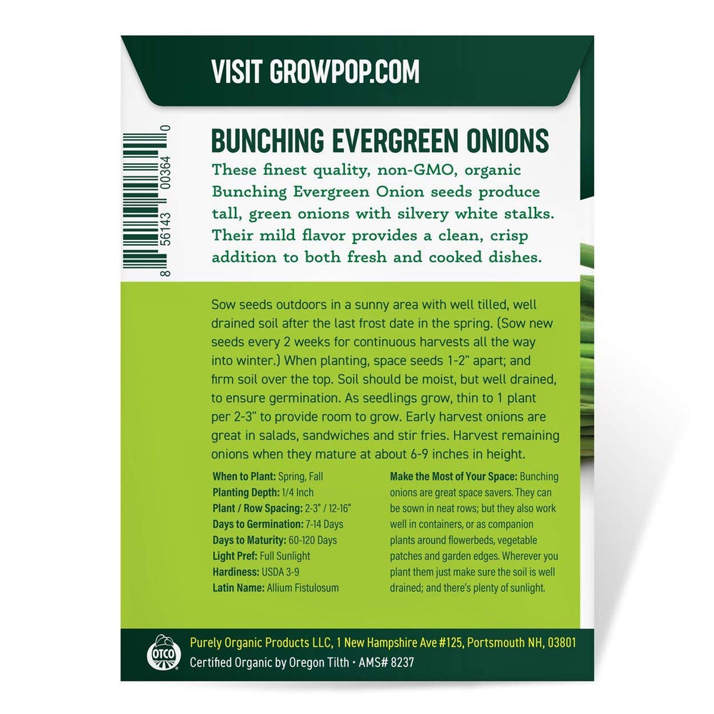 Purely Organic Onion Seeds Bunching Evergreen in a container garden setup for small spaces