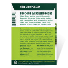 Purely Organic Onion Seeds Bunching Evergreen in a container garden setup for small spaces