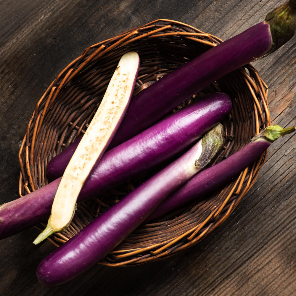 Purely Organic Seeds long purple eggplants ready to harvest with glossy skin