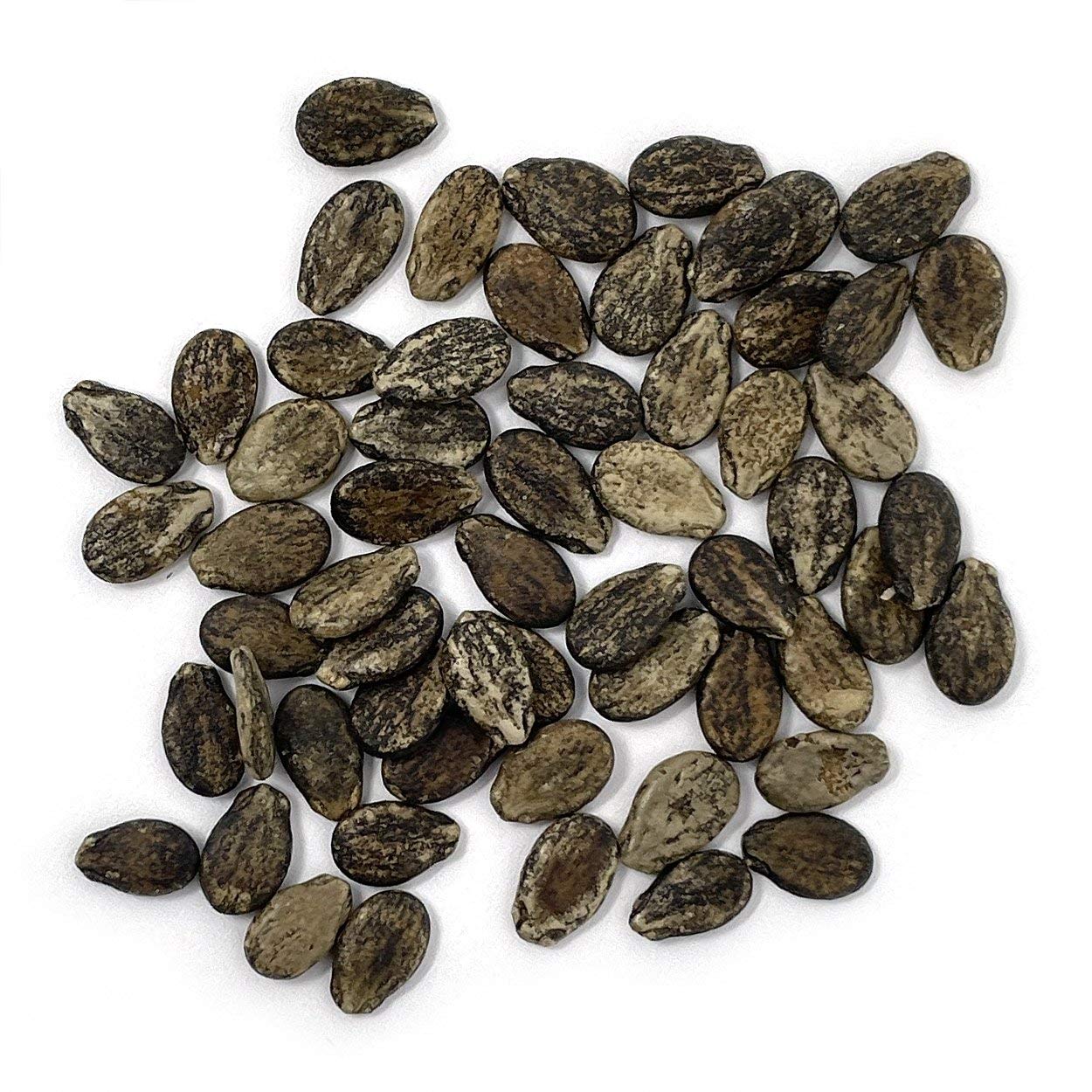 Purely Organic Crimson Sweet seeds planted in loamy soil for a strong start.