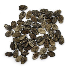 Purely Organic Crimson Sweet seeds planted in loamy soil for a strong start.