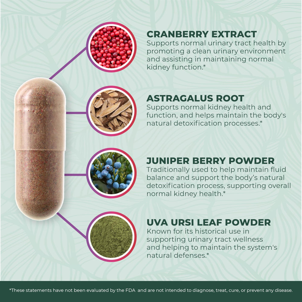 PurePremium Astragalus leaf highlights herbal root inclusion