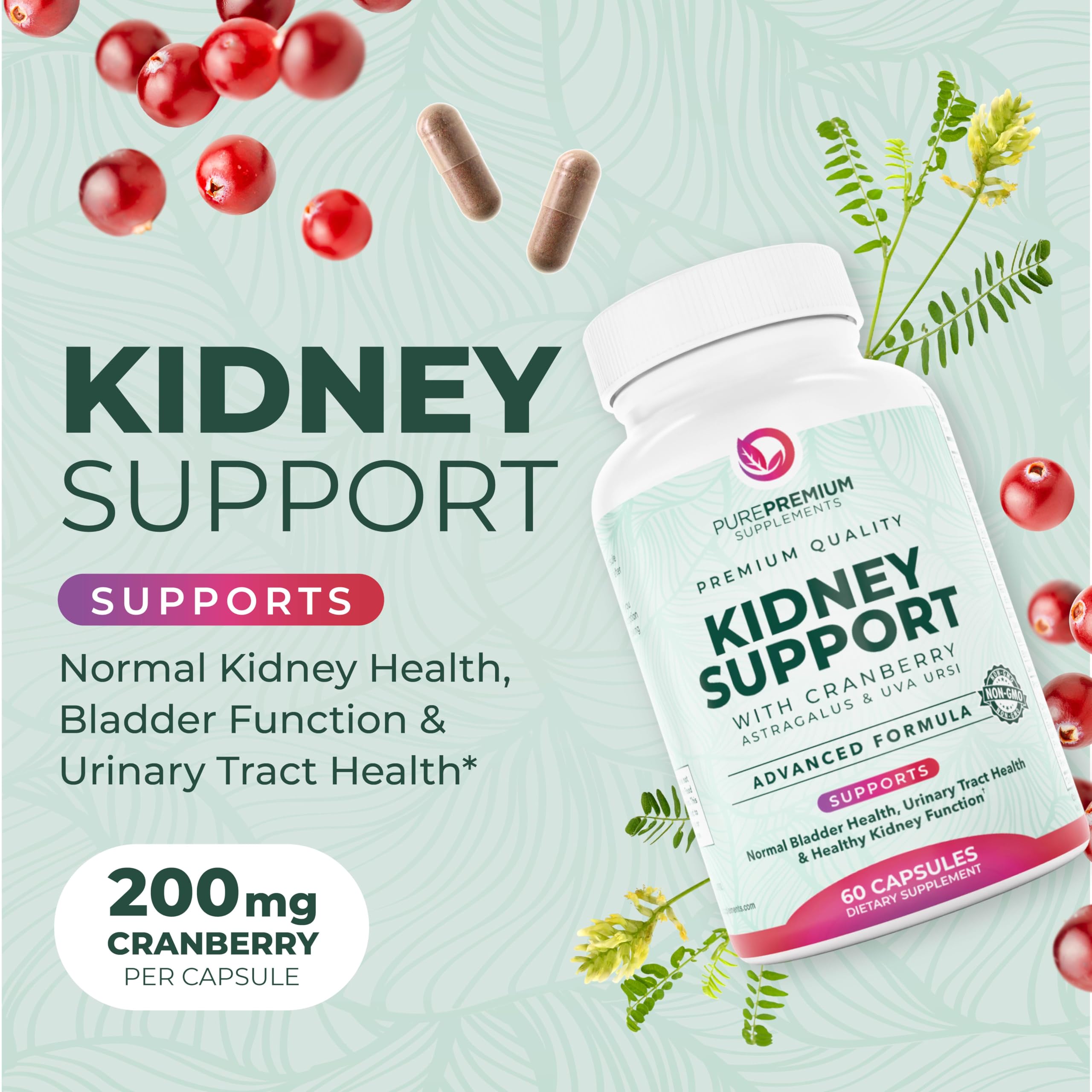 PurePremium Kidney Support capsules ready for daily use