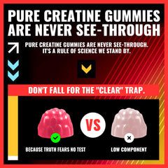 GMP-certified PURESTVITS production process and bottle shown