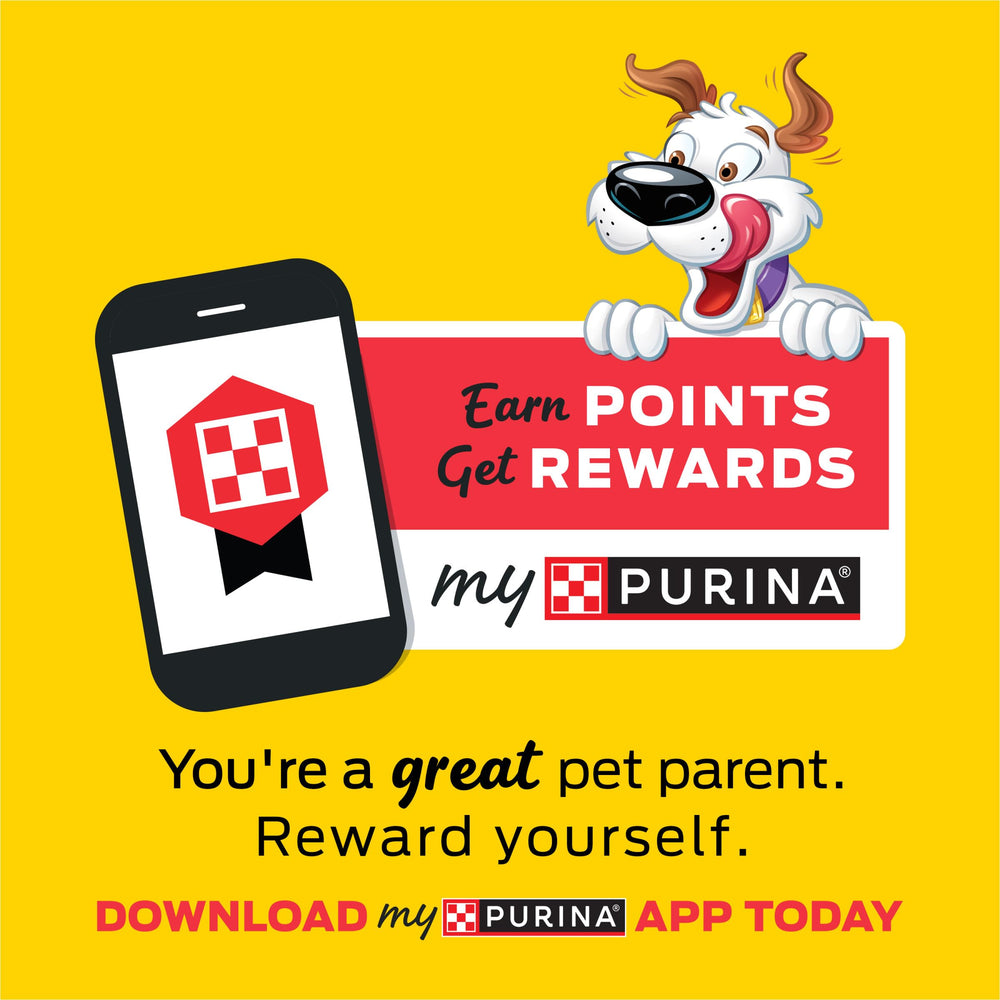 Purina Beggin' Flavor Stix aroma wafts from bowl energized dogs.