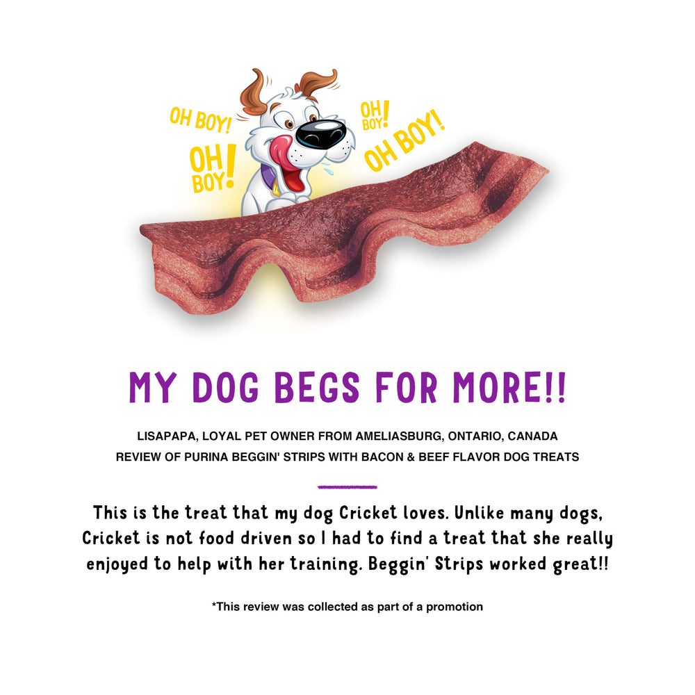 Purina Beggin' Strips bacon-beef aroma makes homecomings extra exciting.