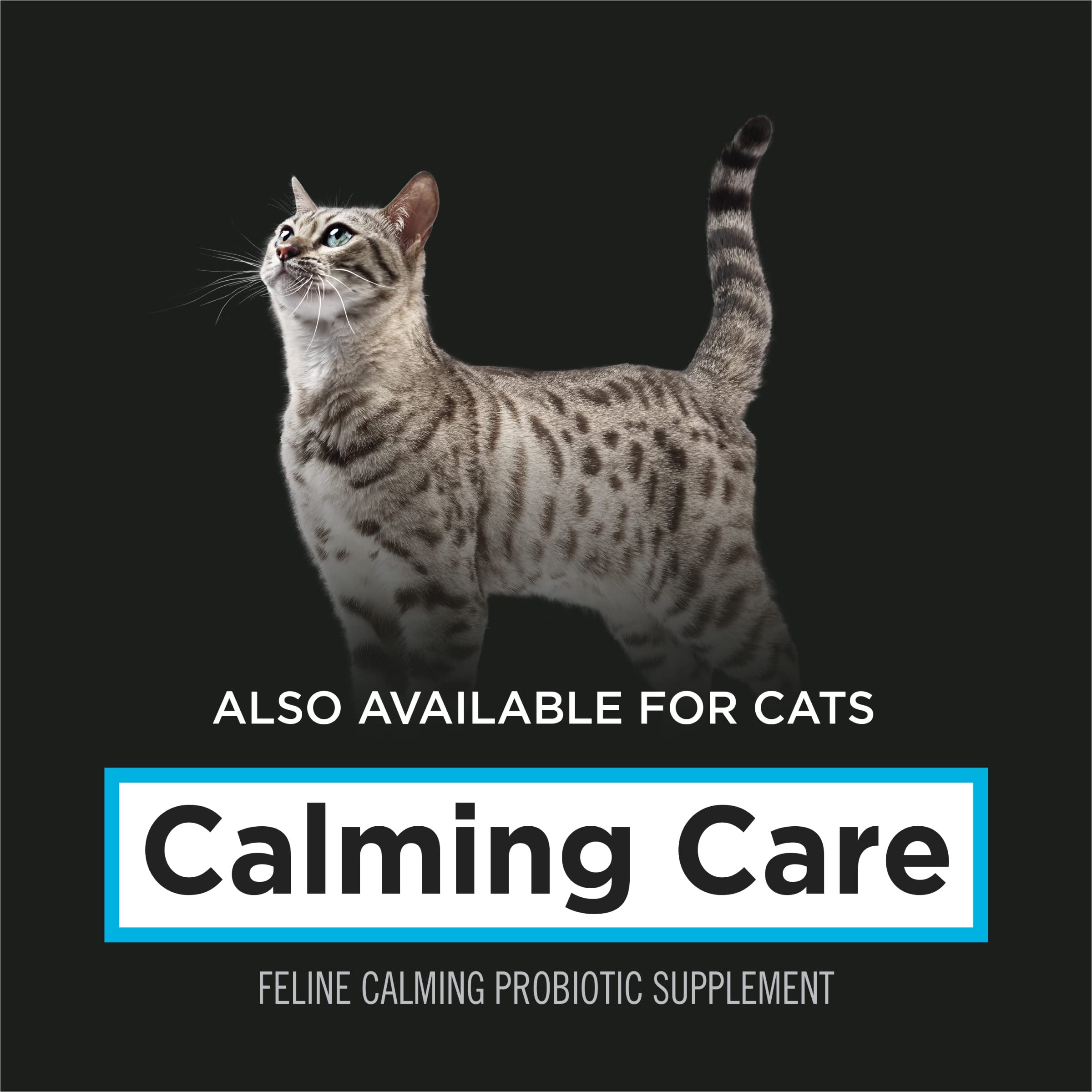 Close-up of BL999 probiotic symbol associated with Calming Care.