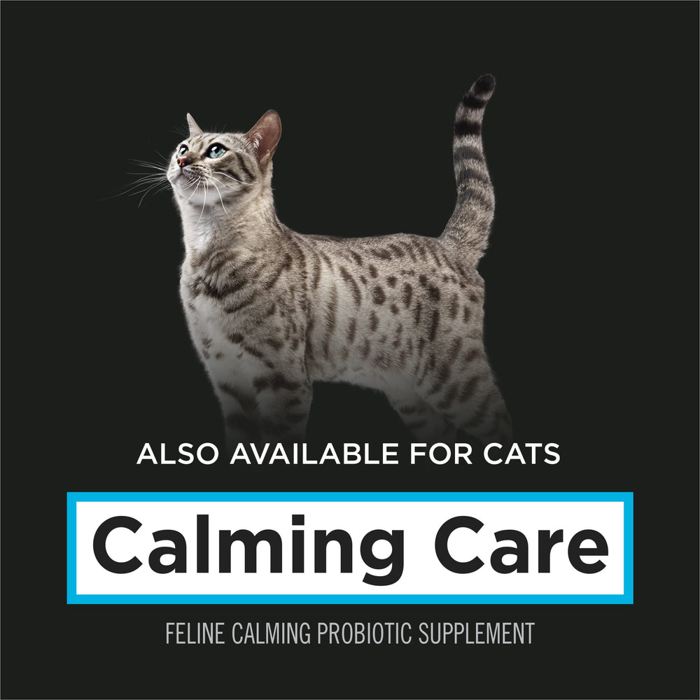 Close-up of BL999 probiotic symbol associated with Calming Care.