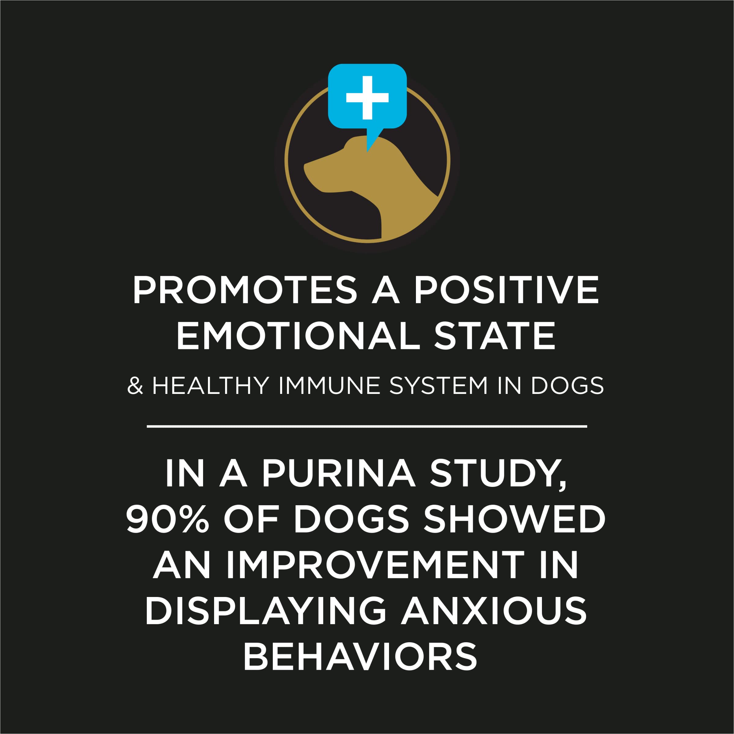 Purina Calming Care packet poured into dog food bowl during mealtime.