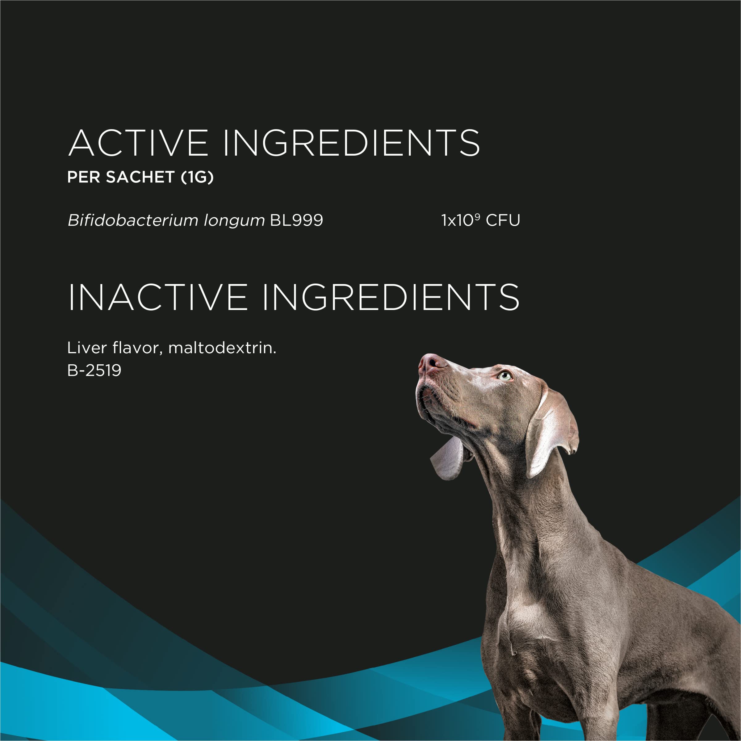 Purina Calming Care powder shown being added to dog food.