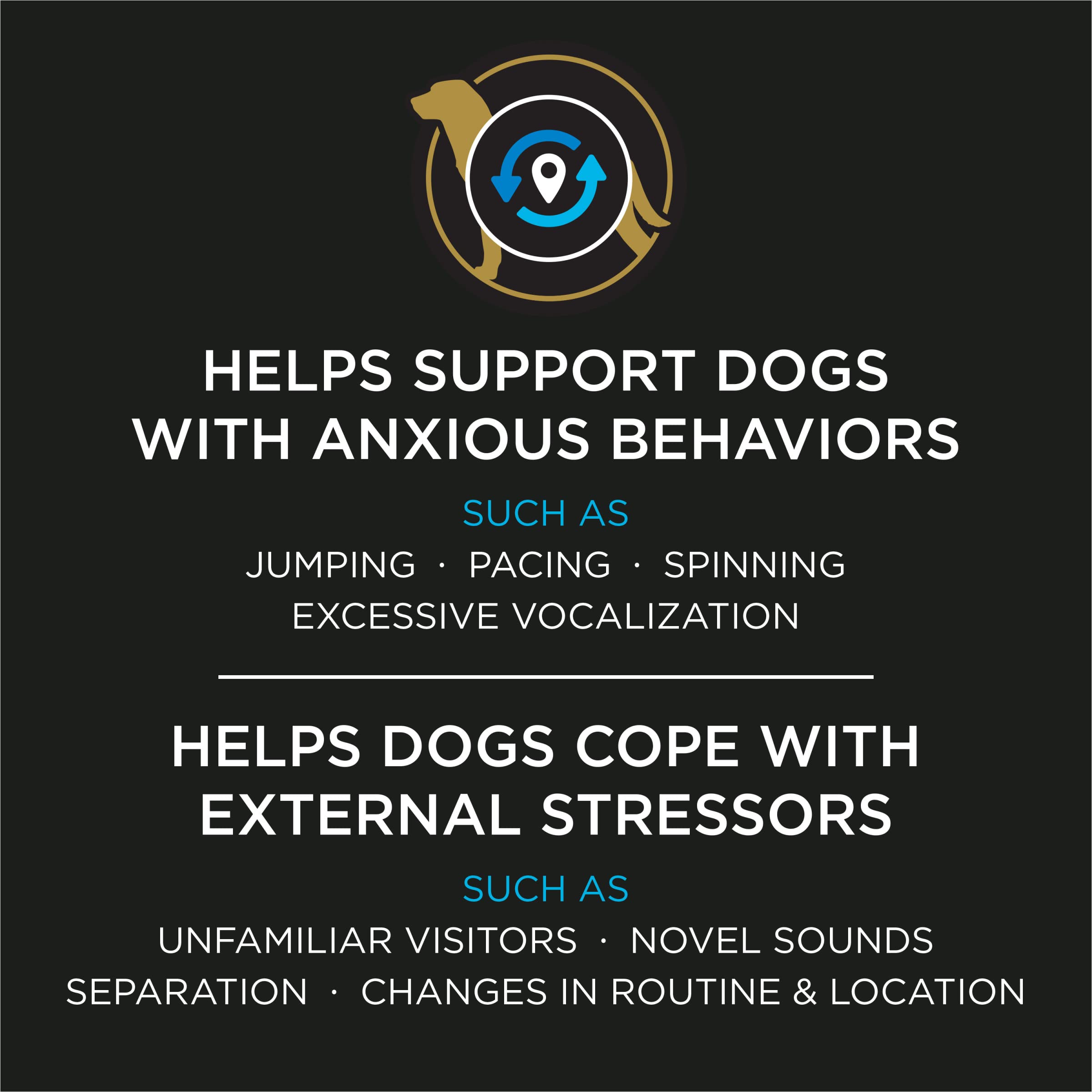 Purina Calming Care probiotic packets arranged for easy daily serving.
