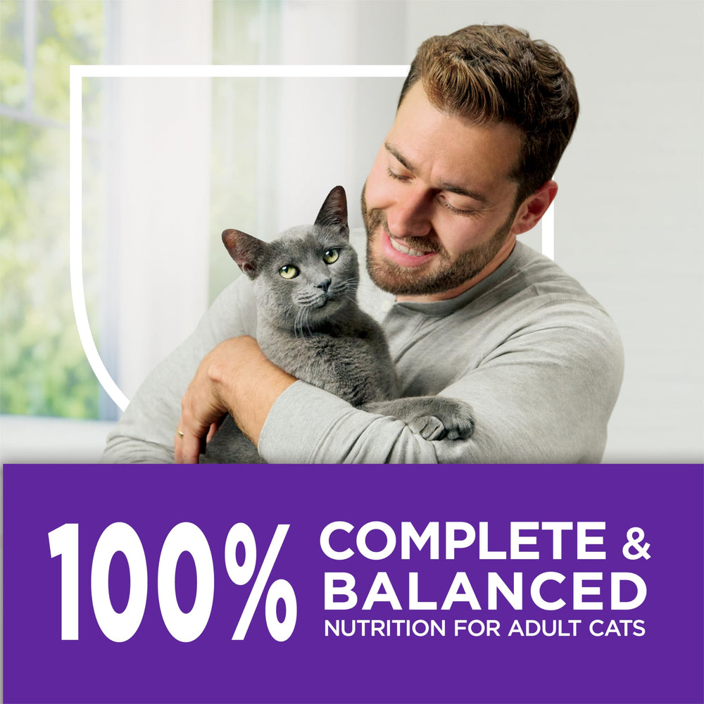 Purina Cat Chow Gentle kibble crunch suggests easy feeding and texture.