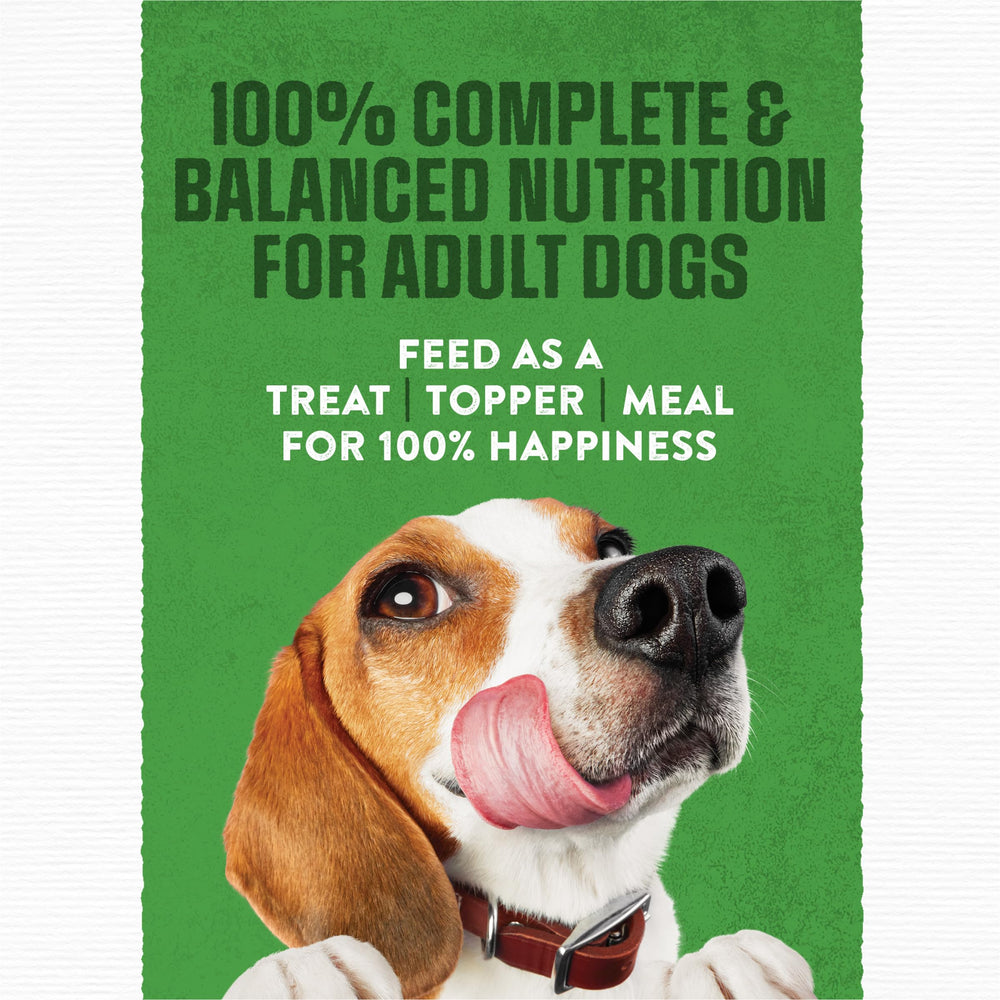 Purina Moist & Meaty Real Chicken in bowl representing a complete meal