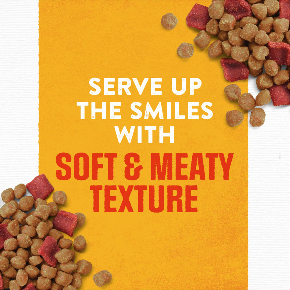 Purina Moist & Meaty Rise and Shine Awaken single-serve pouch for easy meals.