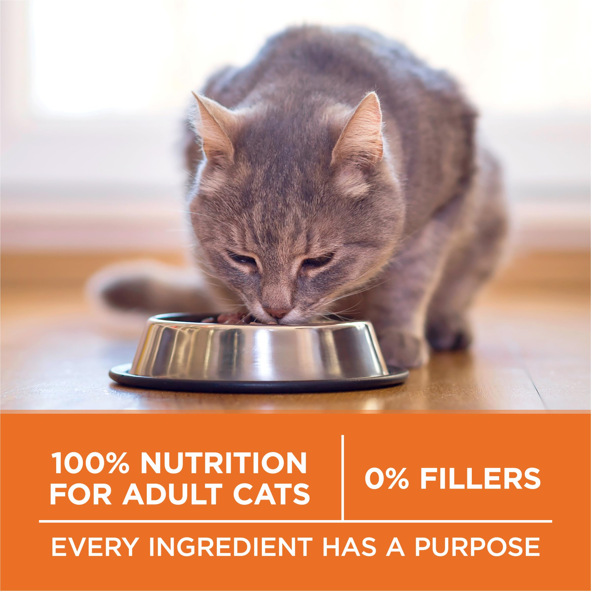 Purina ONE includes added vitamins, minerals and nutrients