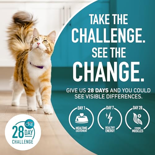 Purina ONE antioxidants icon suggests immune support benefits