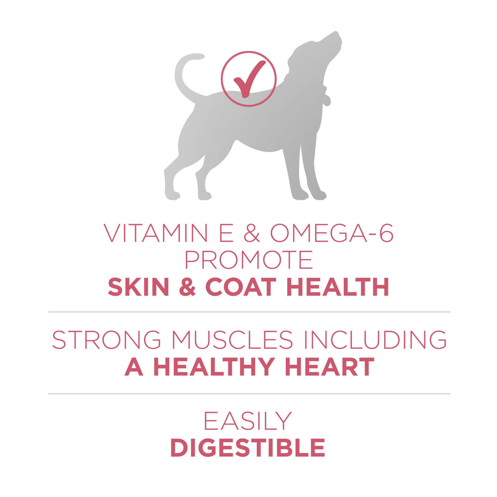 Purina ONE antioxydants variés pour le système immunitaire du chien