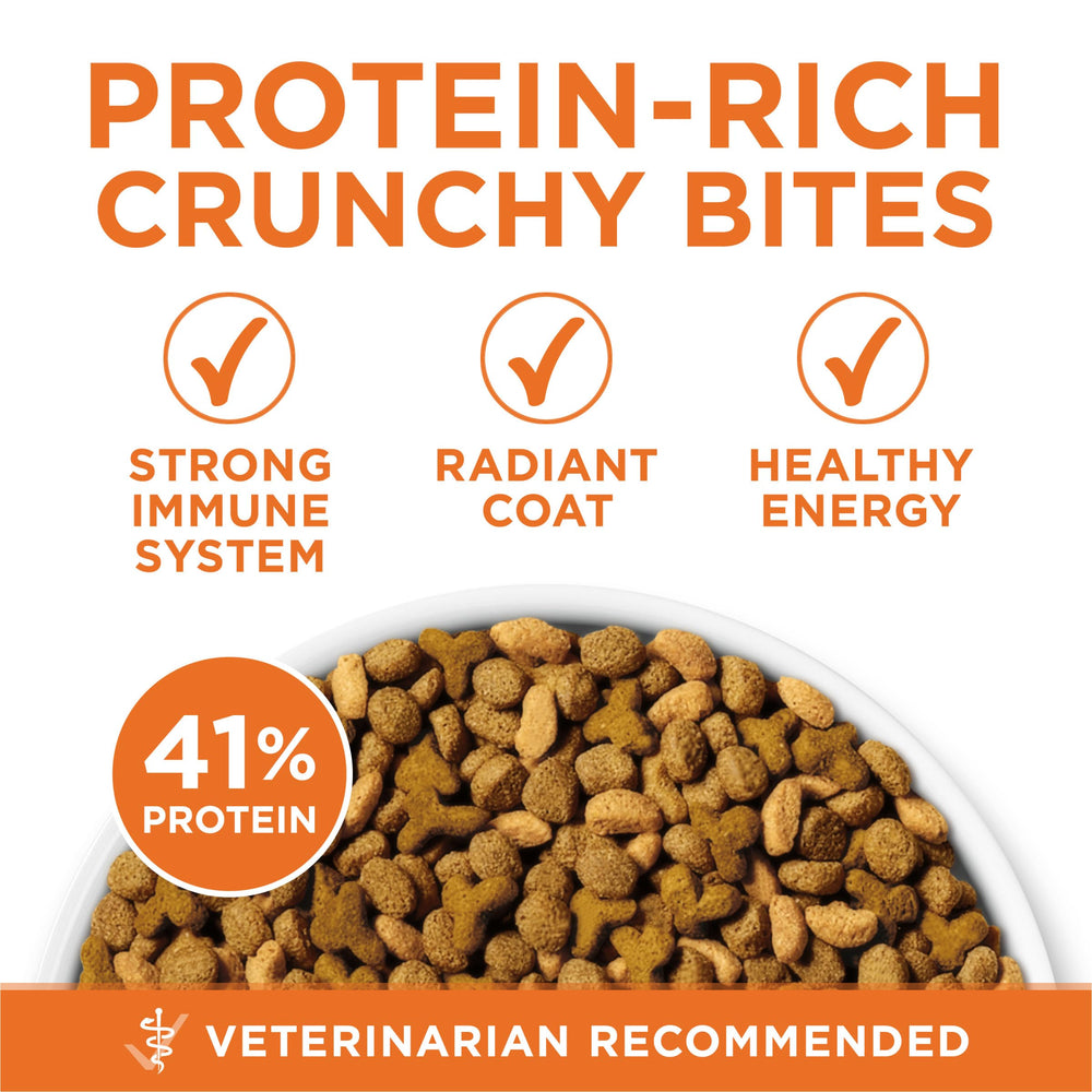 Purina ONE kibble with calcium supports teeth health