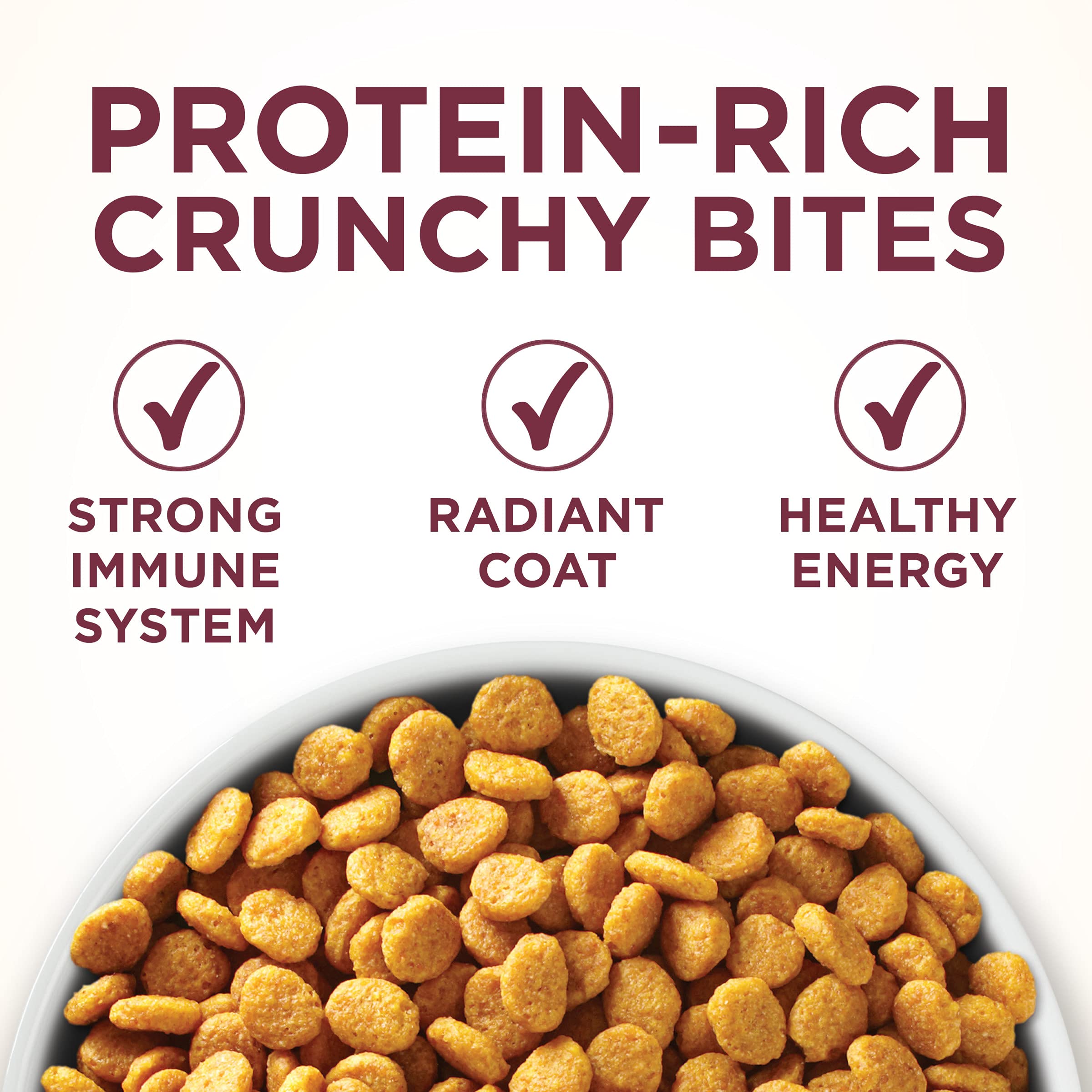 Purina ONE Crunchy Kibble close-up showing texture and flavor appeal.