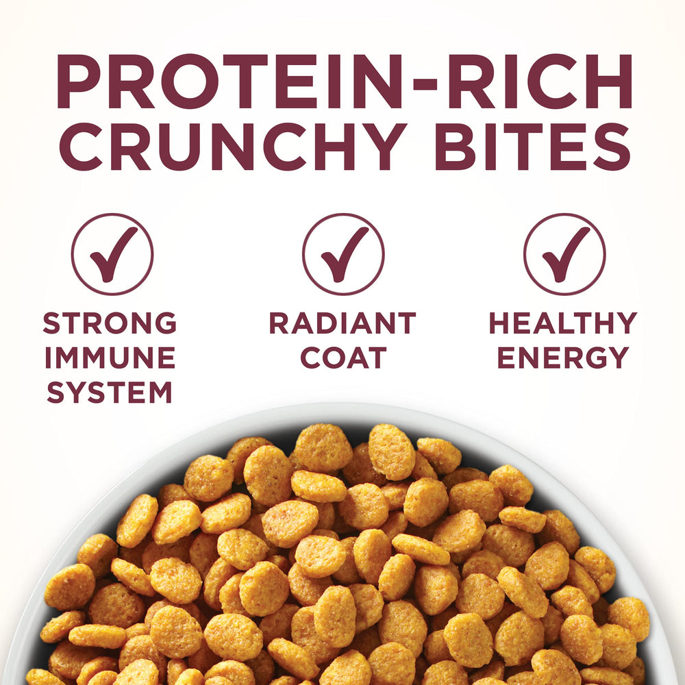 Purina ONE Crunchy Kibble close-up showing texture and flavor appeal.