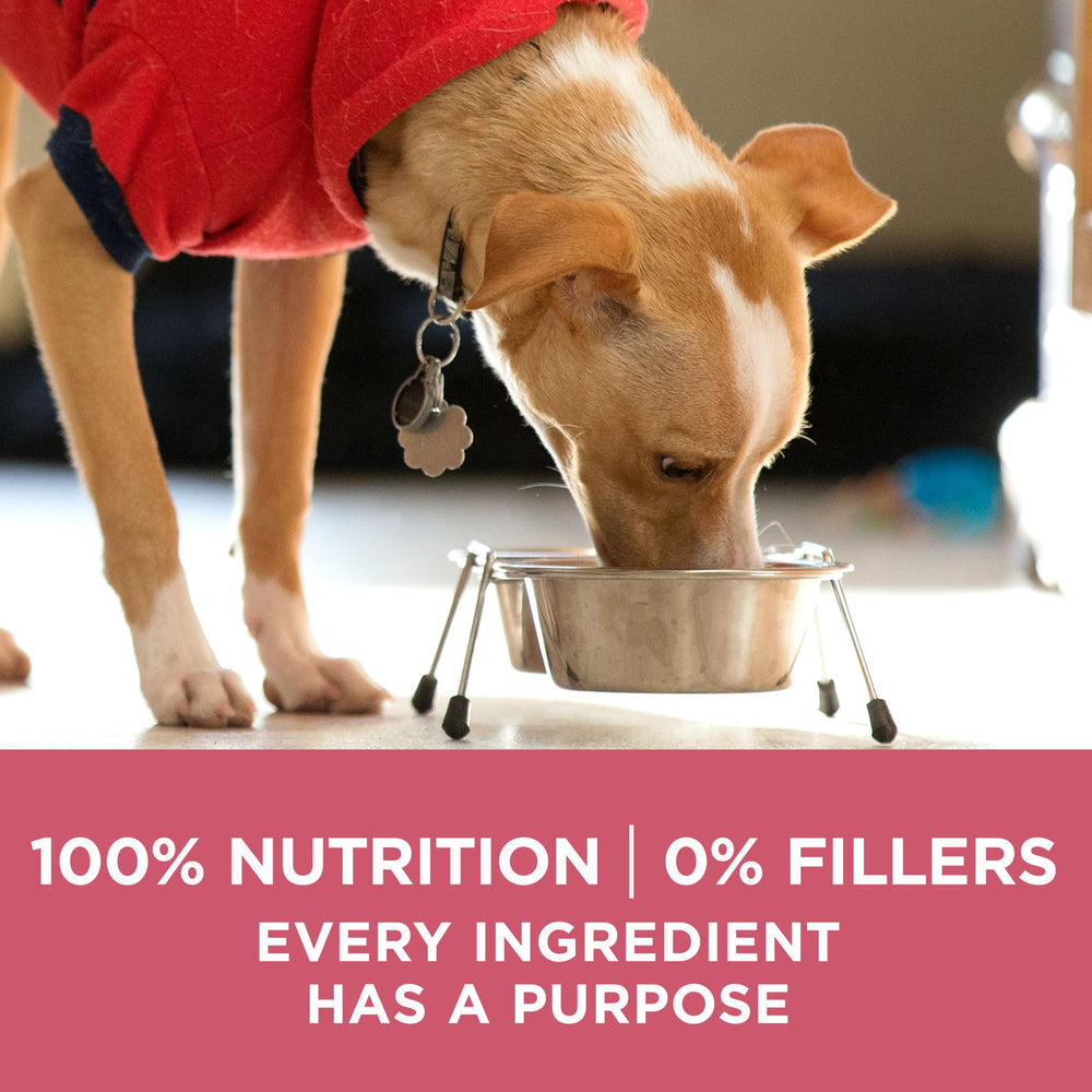 Purina ONE formule estomac sensible pour digestion optimisée