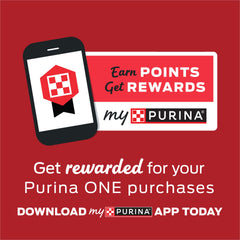 Purina ONE chicken recipe can for active cats