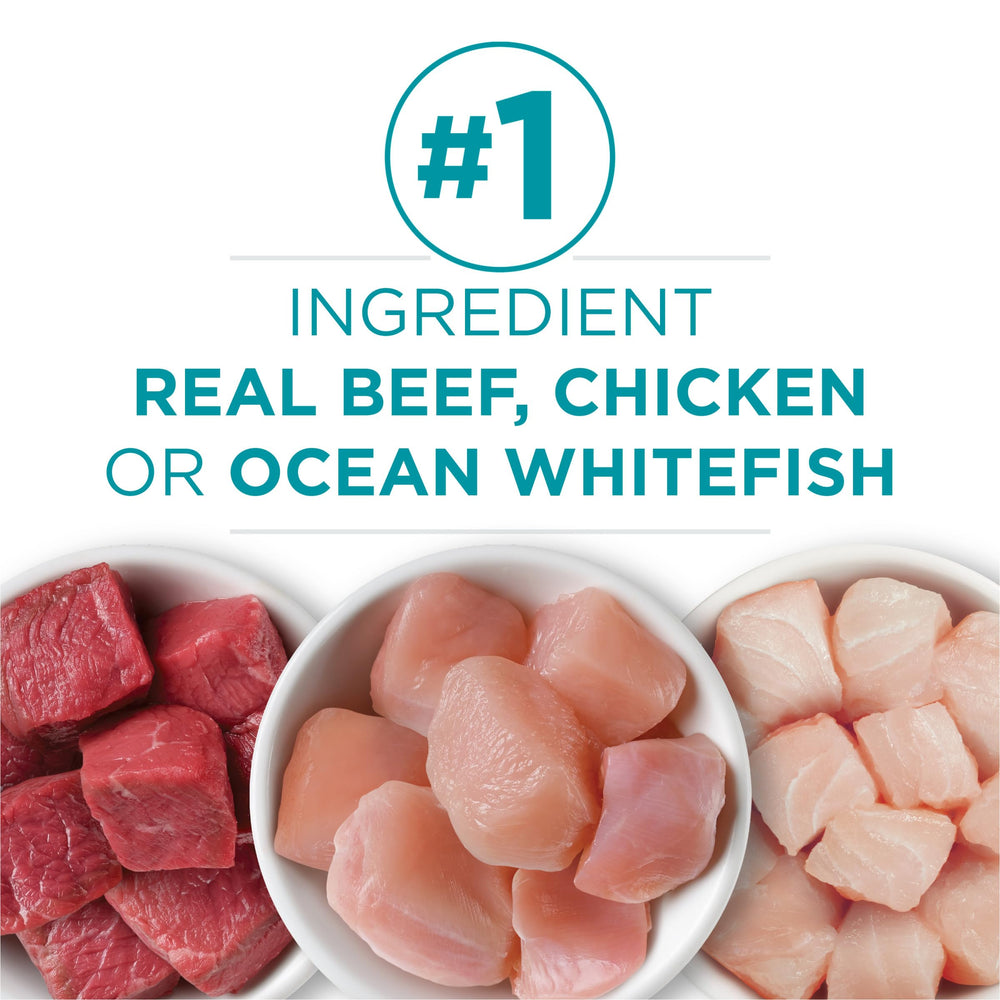 Purina ONE ocean whitefish recipe can for balanced protein