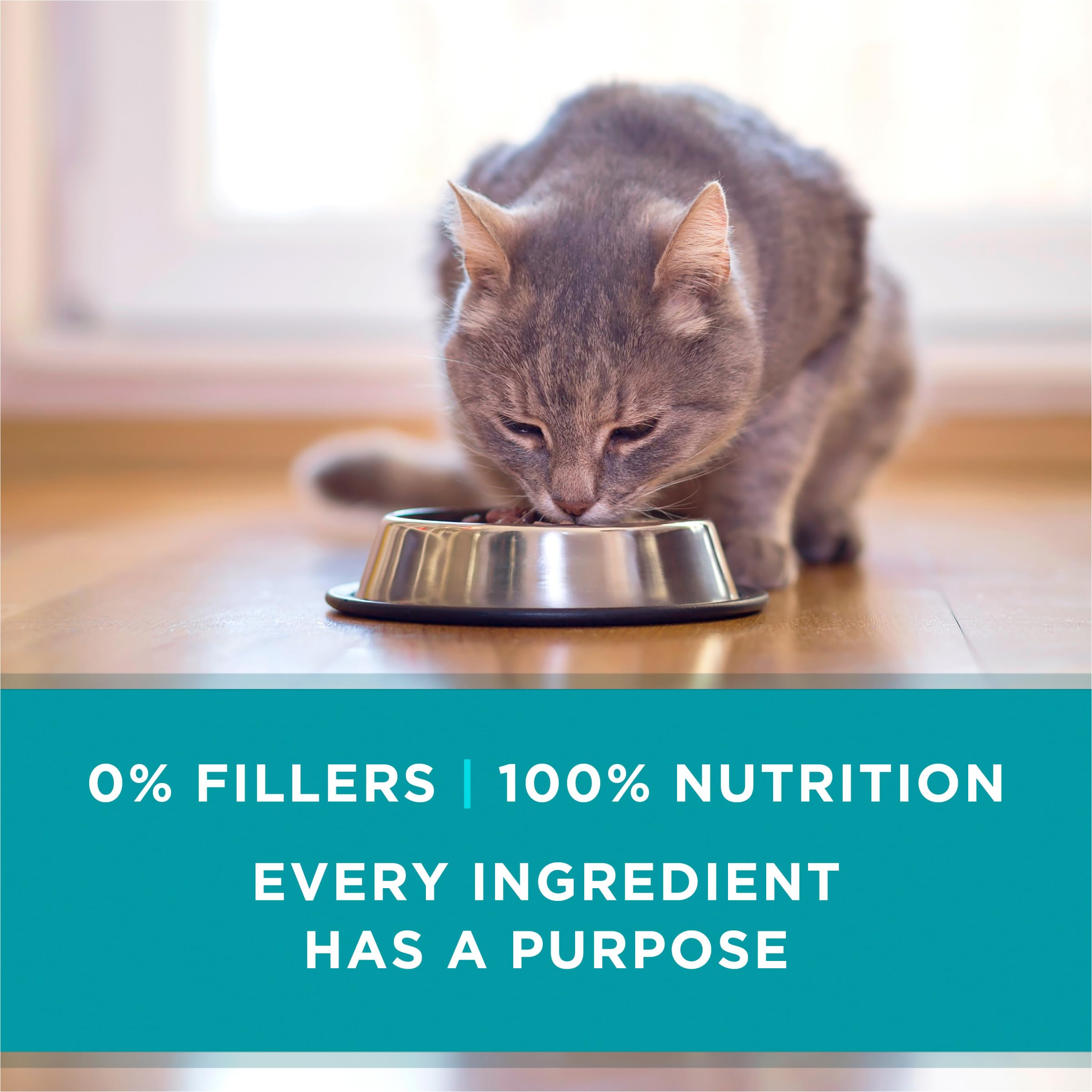 Purina ONE variety pack box with three flavors