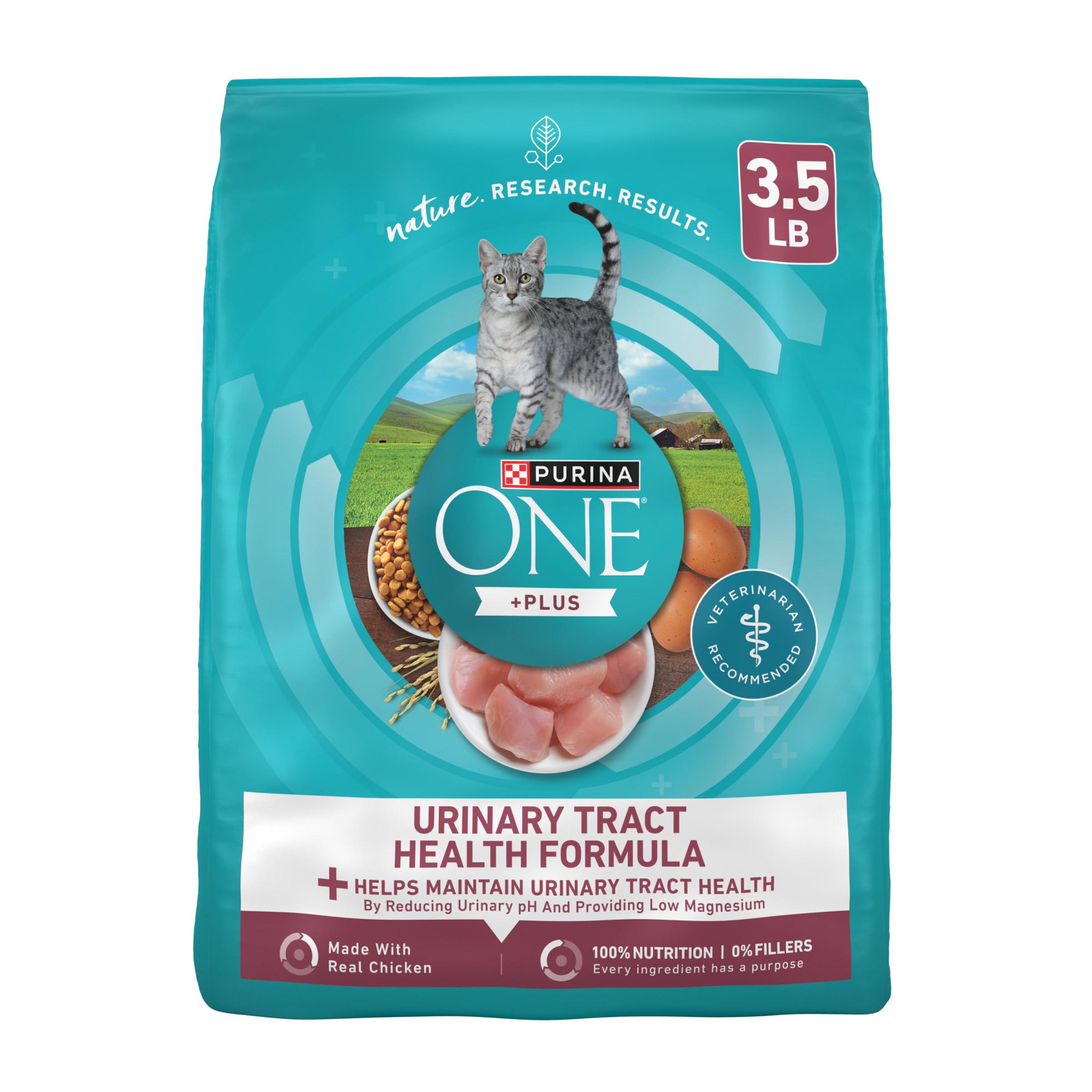 Purina ONE High Protein Dry Cat Food bag showing real chicken for lean muscle support.