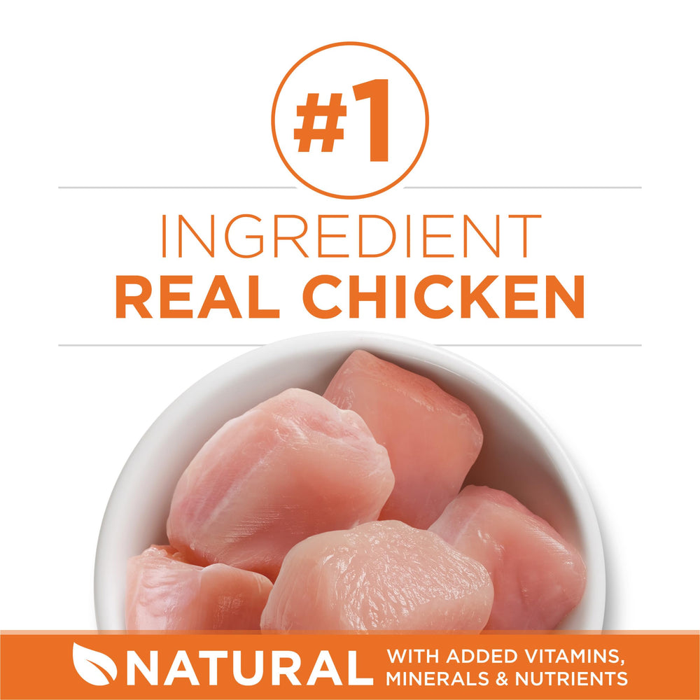 Purina ONE ideal weight chicken kibble in bowl shows crunchy texture