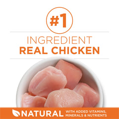 Purina ONE ideal weight chicken kibble in bowl shows crunchy texture