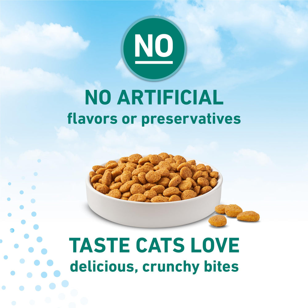 Veterinarian-recommended badge accompanies credible nutrition messaging.
