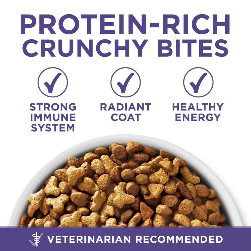 Purina ONE +PLUS antioxidants label close-up