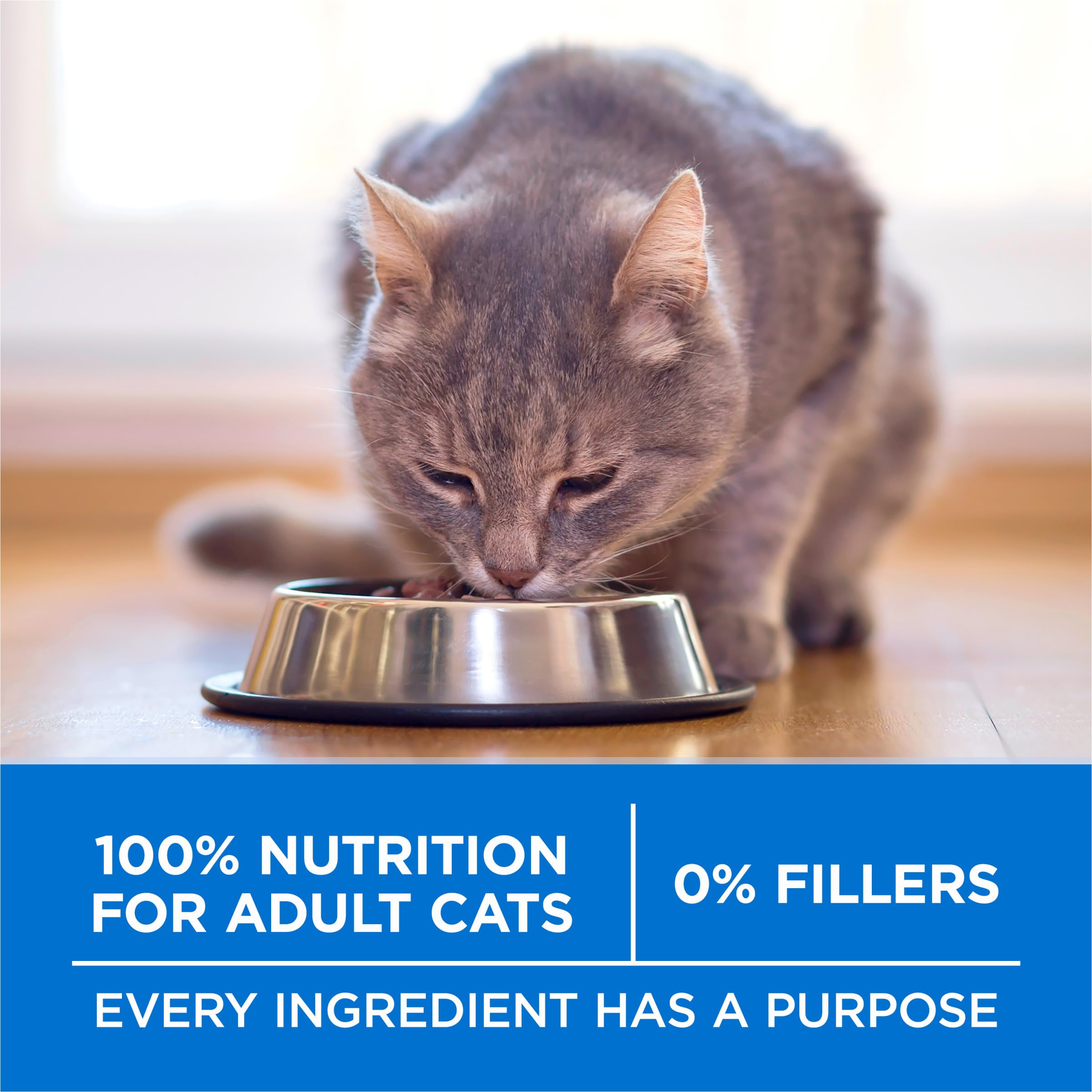 Purina ONE Plus – arômes naturels, saveur appréciée.