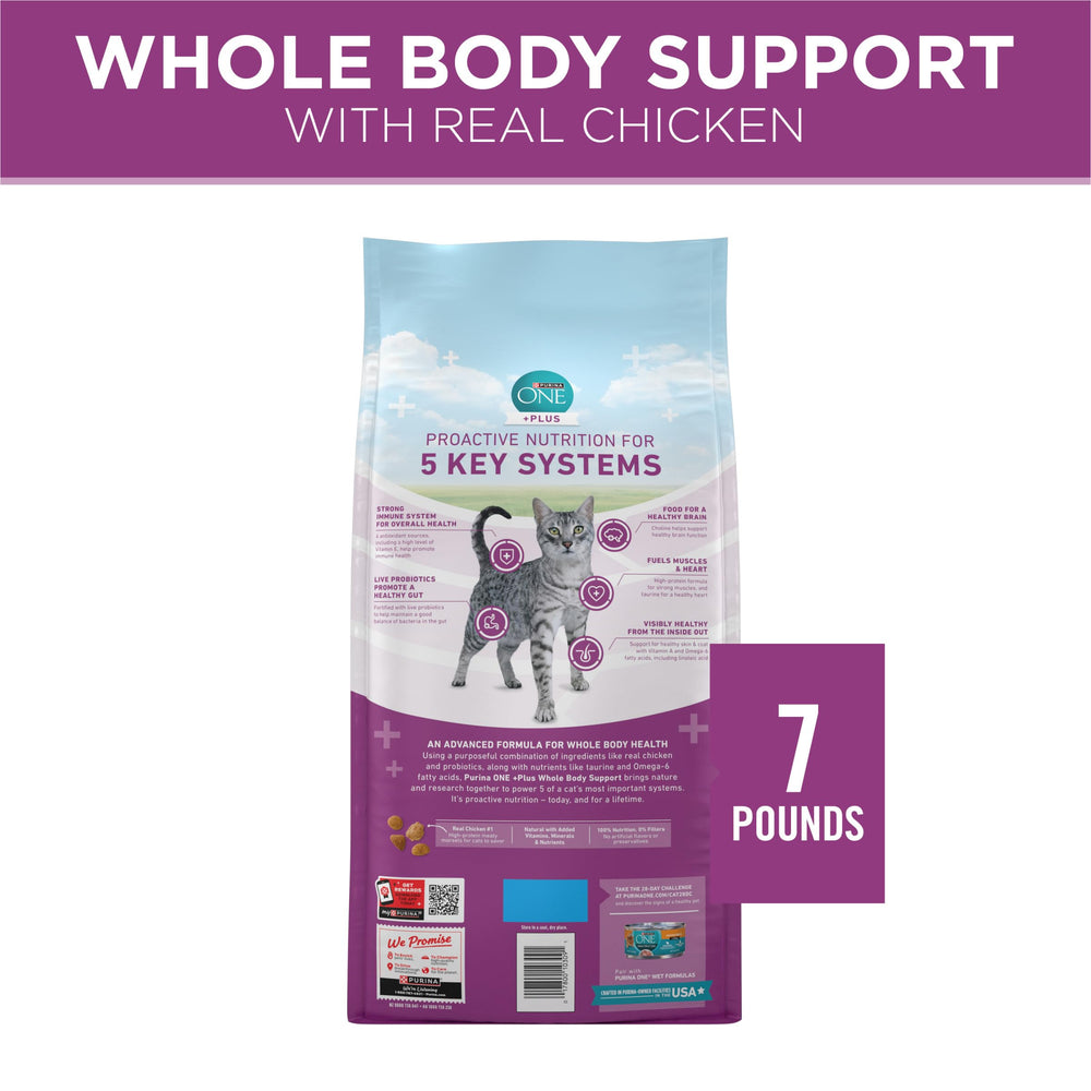 Purina ONE Plus choline chat — cerveau et fonctions cognitives