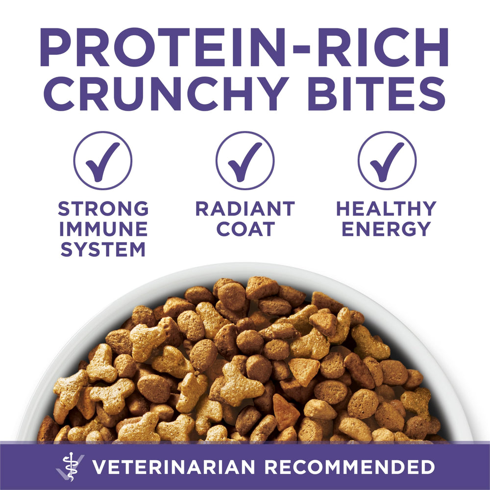 Purina ONE Plus Hairball antioxidant sources panel supports immune nutrients