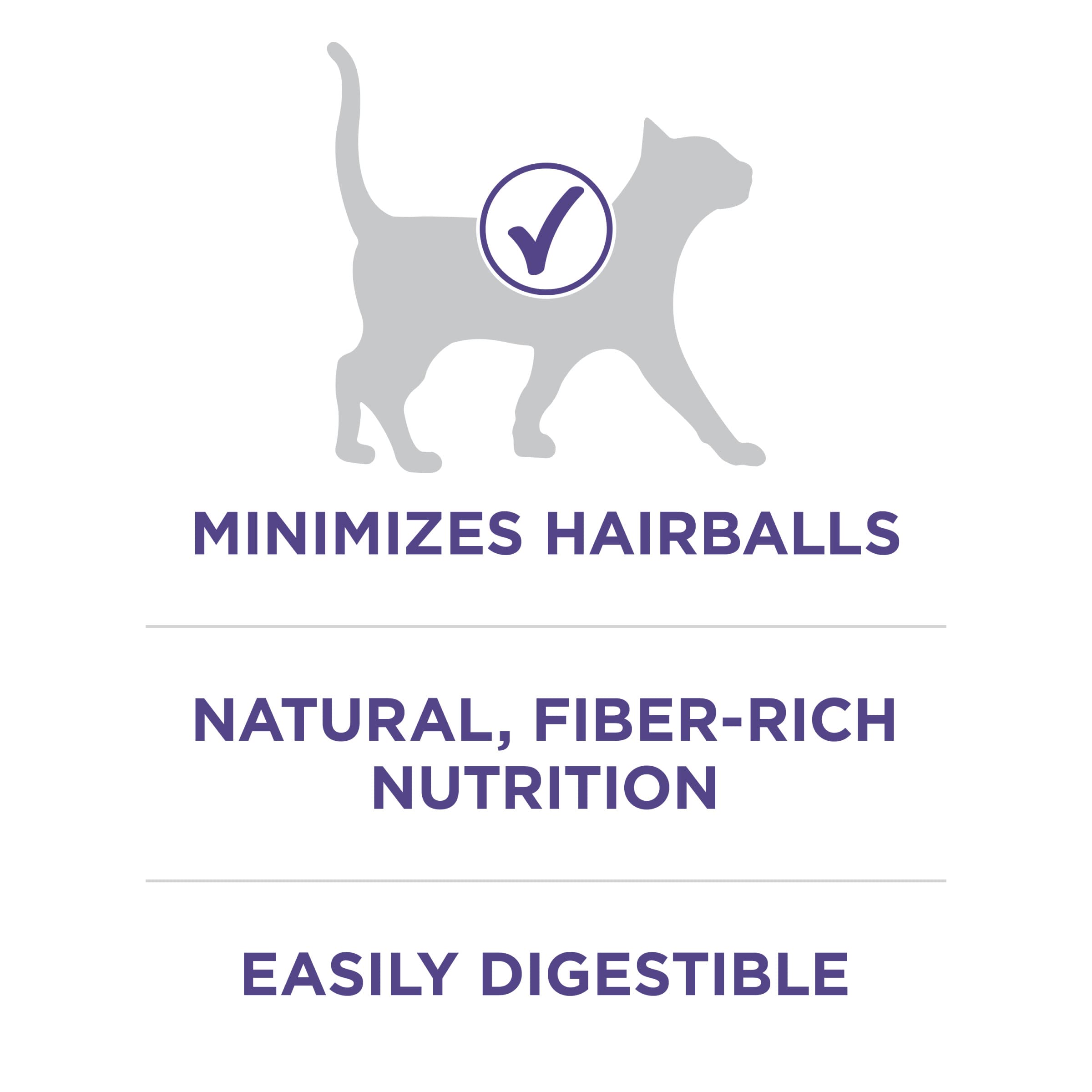 Purina ONE Plus Hairball Formula real chicken closeup emphasizes protein