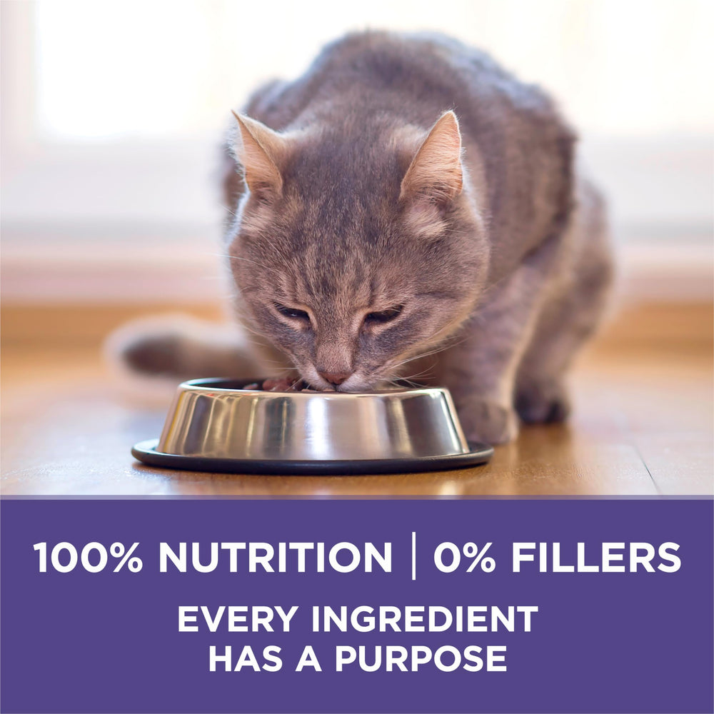 Purina ONE Plus Hairball kibble in bowl suggests dental support